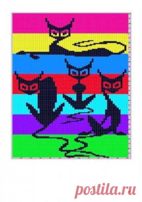 74459224_large_Portrait_of_Cat_0041 - Эвелина Игоревна Жестовских