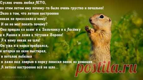 ''ОДУВАНЧИКОВОЕ НАСТРОЕНИЕ'' /Сказка Татьяны Нефедьевой в моих открытках/