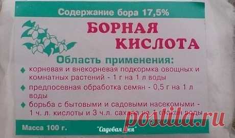Новости