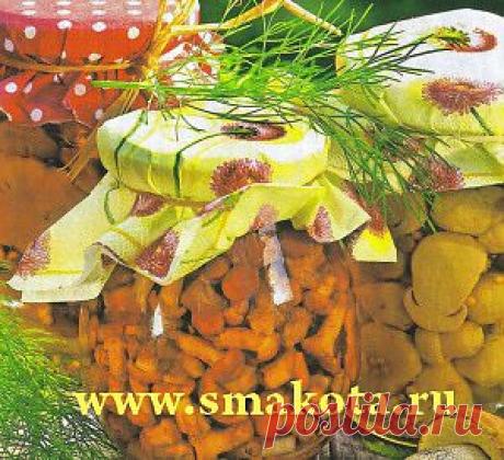 Вкусный рецепт маринованных грибов, опят, маслят и шампиньонов | SMAKOTA.RU