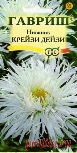 Нивяник "Крейзи Дейзи"