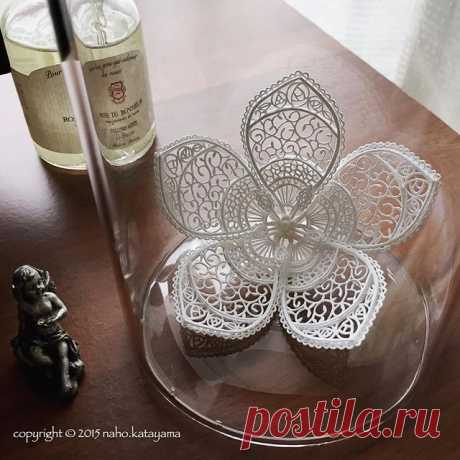 GM. 2013 flower piece.
#paperart #paperartist #papercutart #papercutout #papercutter #papercutting #papercutartist #papersculpture #paperartistcollective #artwork #art_we_inspire #handcut #handcutting #interior #intricate #flower