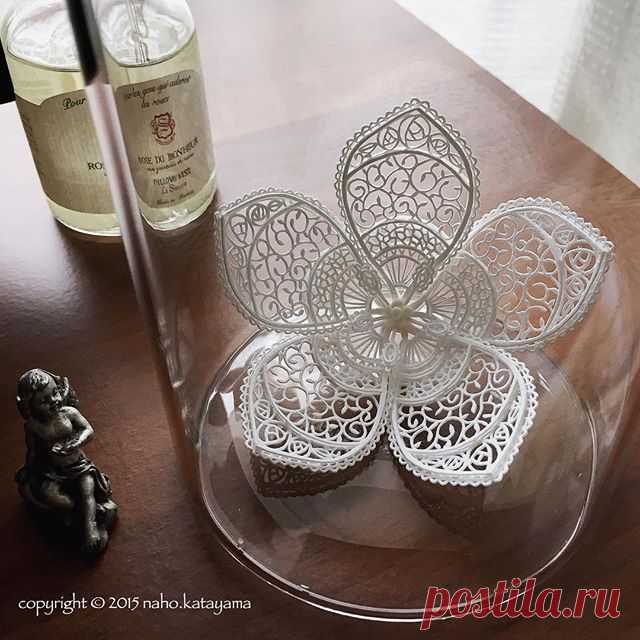 GM. 2013 flower piece.
#paperart #paperartist #papercutart #papercutout #papercutter #papercutting #papercutartist #papersculpture #paperartistcollective #artwork #art_we_inspire #handcut #handcutting #interior #intricate #flower