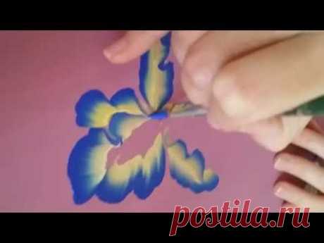 Beautiful One stroke iris