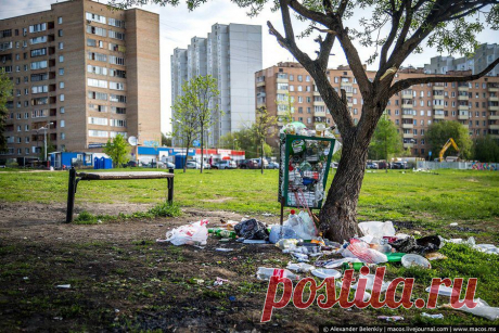 Что мы свиньи что ли???? | Мамам, женщинам, бабушкам и очень любознательным.