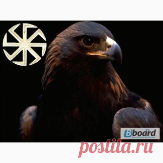 Частный маклер, Николаев, Услуги риелторов, агентств недвижимости — Bboard