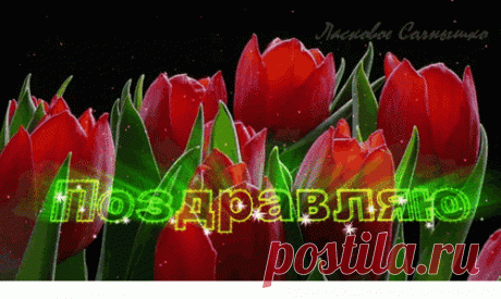 @АЛЛА@ Коцюба - Белгород, Белгородская обл., Россия, 40 лет на Мой Мир@Mail.ru