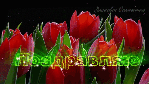 @АЛЛА@ Коцюба - Белгород, Белгородская обл., Россия, 40 лет на Мой Мир@Mail.ru