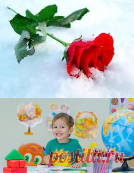 Tatjana Sapaliene на Postila