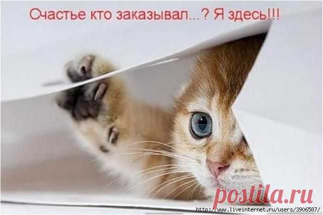 Я здесь.
