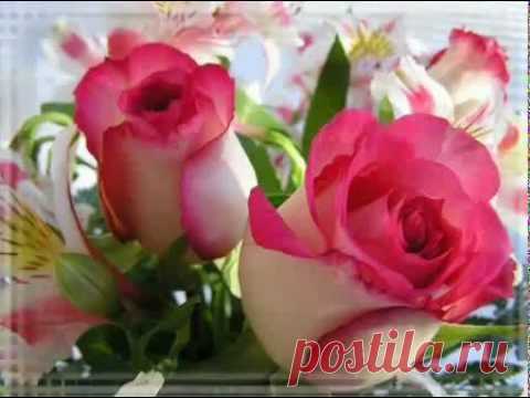 ВИДИО-ПОЗДРАВЛЕНИЯ / Atavi - менеджер закладок