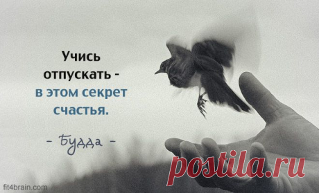 Одной фразой – Фитнес для мозга