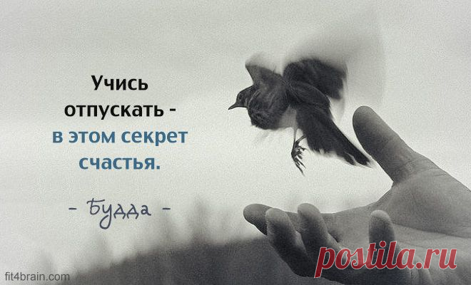 Одной фразой – Фитнес для мозга