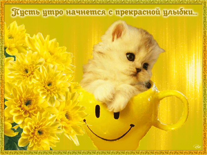 Доброе утро