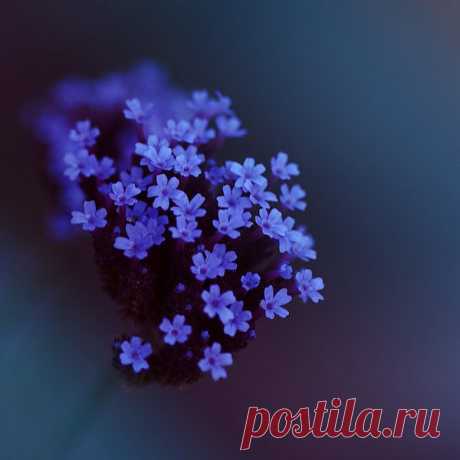 blues