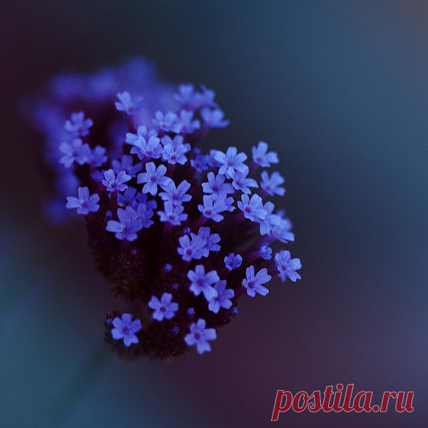 blues