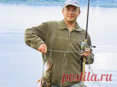 Крупная рыба на кукане Фото автора В период открытой воды практикуется немало способов рыбной ловли, ориентированных на поимку крупной рыбы, для хранения которой большинство рыболовных сетчатых садков недостаточно прочны...