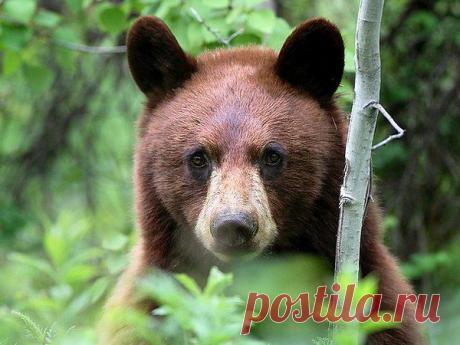 Интересные новости