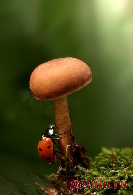 35PHOTO - Вадим Трунов - ***