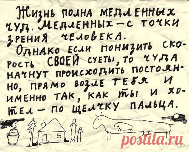 (6) Facebook