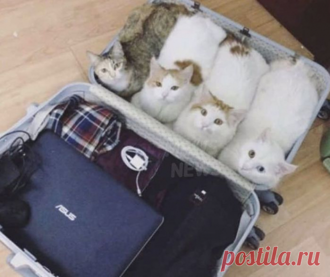 Фото дня