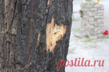 Невероятные совпадения