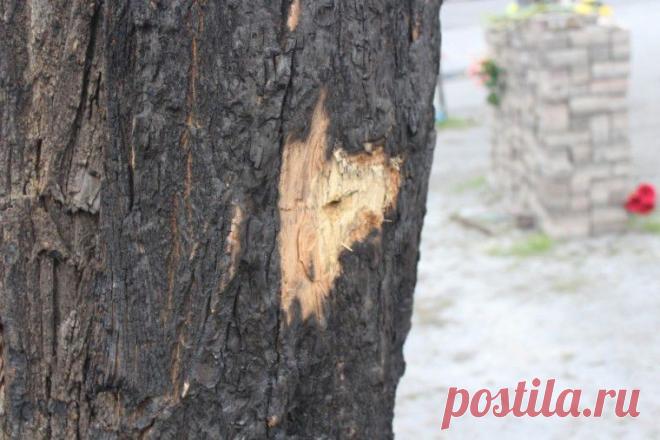 Невероятные совпадения