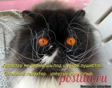 Мысли вслух