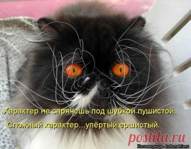 Мысли вслух