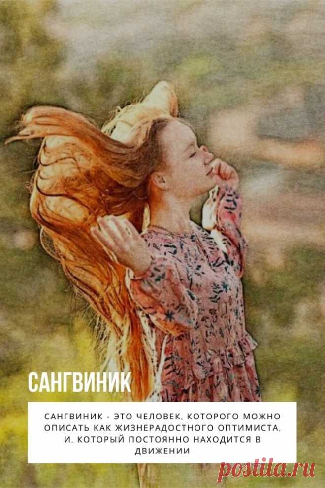 Сангвиник. Известно, что поведение человека в той или иной ситуации, во многом определяется его темпераментом. При этом принято различать четыре основных разновидностей темперамента: сангвиник, флегматик, меланхолик и холерик.

Рассмотрим более подробно тип темперамента — Сангвиник.