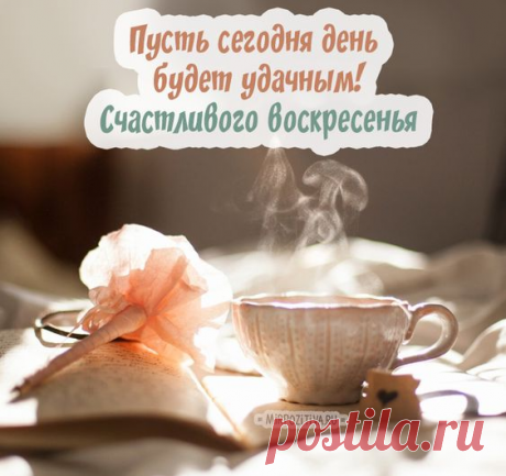 43293032_1348671368597810_1009007844986454016_n.png (563×530)