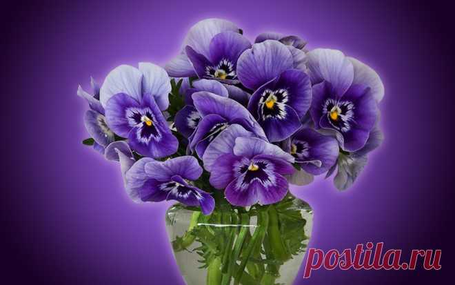 Я люблю ✿ ЦВЕТЫ ✿ | I ♥ Flowers