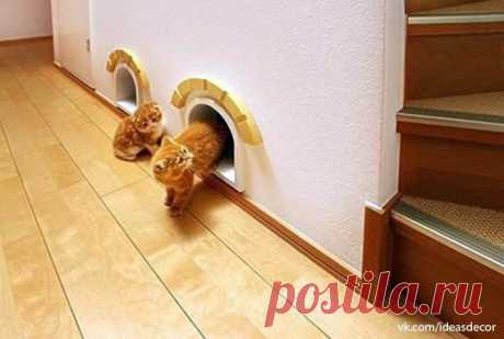 Фотографии на стене сообщества | 32 790 фотографий | ВКонтакте