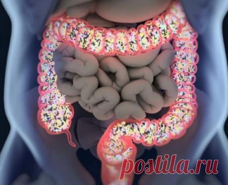 Правила хорошей работы кишечника