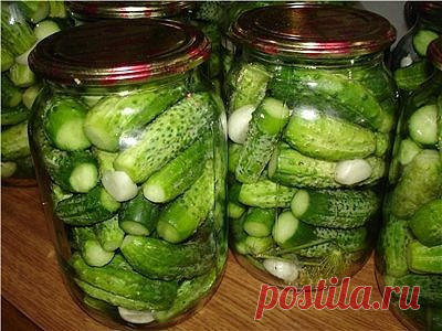 (51) Одноклассники