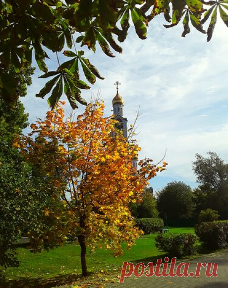 Яндекс.Коллекции