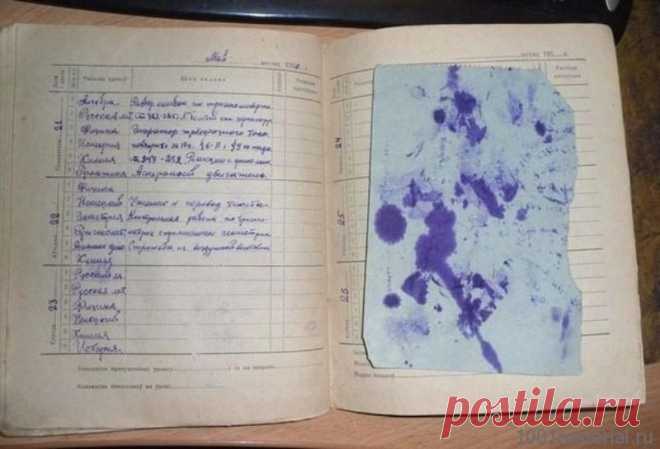 Советское школьное детство: промокашка, коржик и логарифмическая линейка