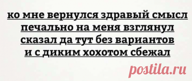 ZpZFpXu7ZQU.jpg (720×366)