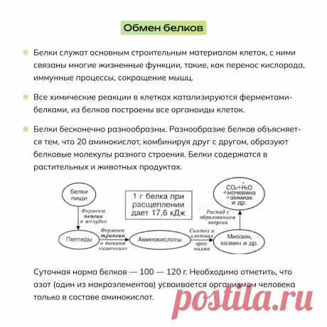 v2OeB-x3RQw.jpg (1280×1279)