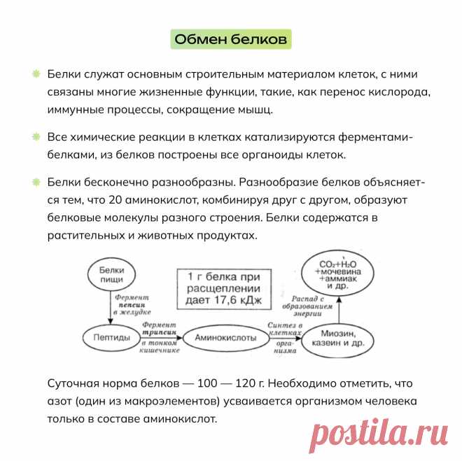 v2OeB-x3RQw.jpg (1280×1279)