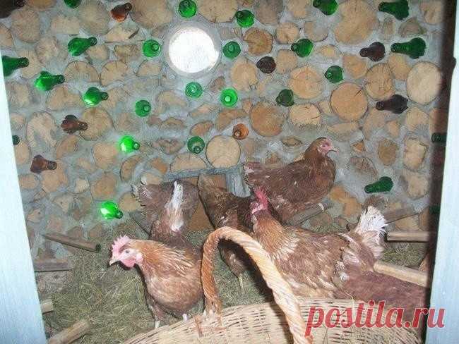 Оригинальный дровяной чудо-курятник своими руками