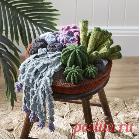 Safo Crochet