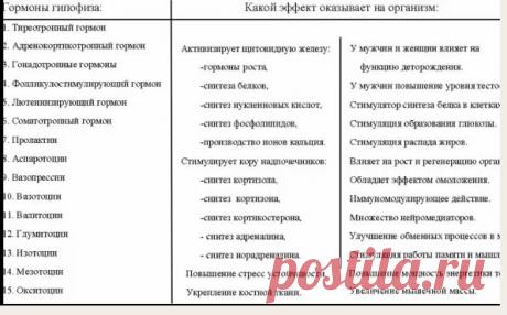Как заставить мозг работать? | АнтиДиСтресс
Активация гормона гипофиза! Вибромассаж
