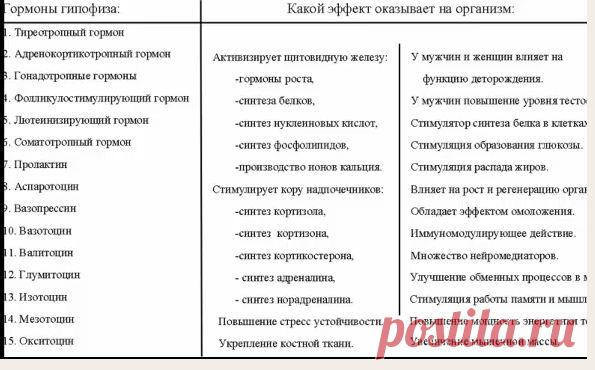 Как заставить мозг работать? | АнтиДиСтресс
Активация гормона гипофиза! Вибромассаж