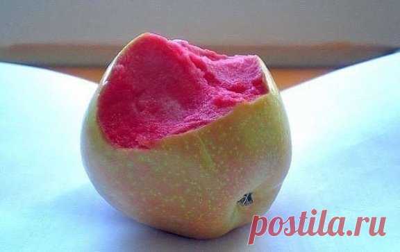 Сорт яблок: розовый жемчуг. Даже не знала, что такое бывает...