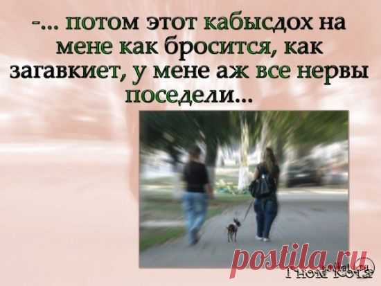 Новости
