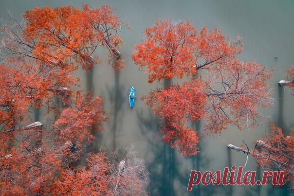 Кипарисовое озеро Сукко, Краснодарский край. Автор фото – Алексей Яковлев. Доброе утро!