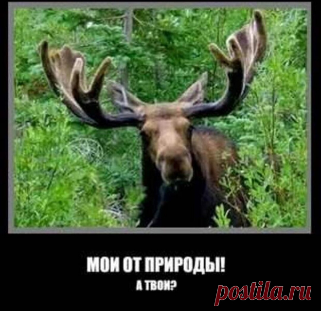 Как говорила бабушка:
