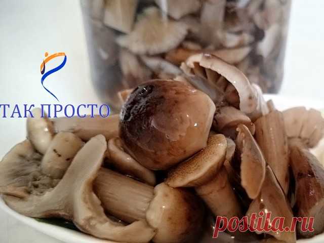 (3) Одноклассники