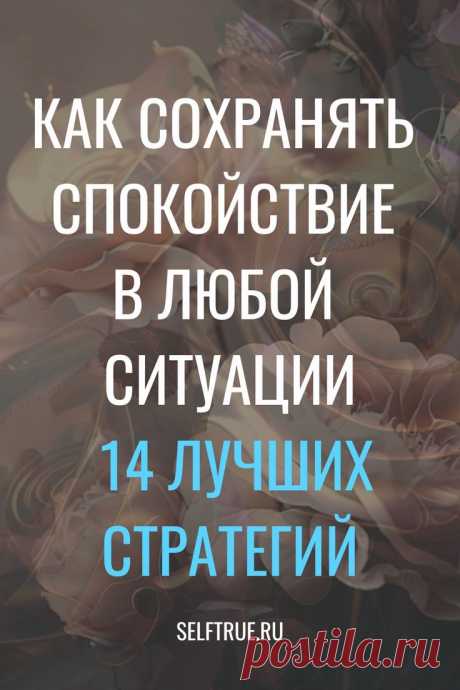 Изображение пина-истории